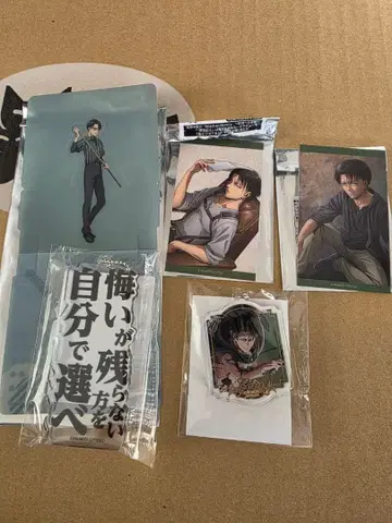 진격의 거인 기억으로의 진격 리바이