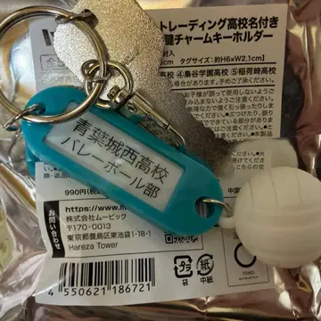 하이큐!! 트레이딩 고교명 포함 열쇠고리 참 키링 아오바죠사이 고교