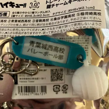 하이큐!! 트레이딩 고교명 포함 열쇠 참 키링 아오바죠사이 고교