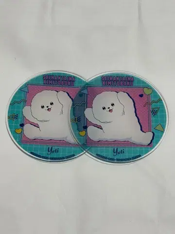 정반대인 너와 나 아크릴 코스터 예티 2개