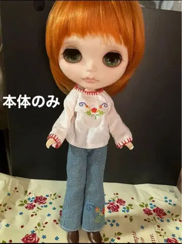 커스텀 브라이스 작가님 네오 브라이스 본체