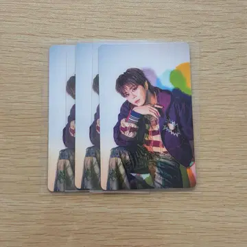 BUDDiiS SEIYA 트레이딩 카드 3장