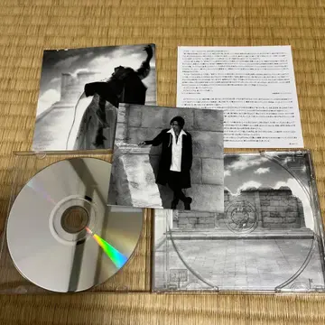 귀중 LUNA SEA MOTHER 초회 한정판 투명 오비