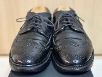 ALDEN 9751 코도반 롱 윙 블랙 7.5D 발리 라스트 박스 포함