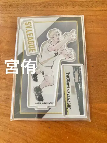 하이큐 아크릴 피규어 SV 리그 콜라보 배구 아크릴 스탠드 아츠무