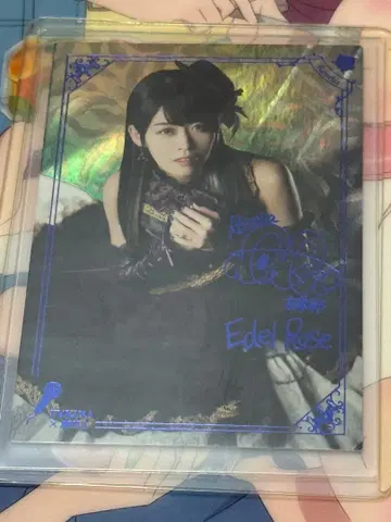 Edel Rose Roselia 아이바 아이나 SPR
