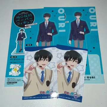 타몬 군 지금 어느 쪽!? 사카구치 사쿠리 카드 묶음 판매