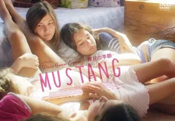 미개봉 새상품 셀판 DVD MUSTANG 맨발의 계절