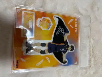 하이큐!! 카게야마 토비오 횡단막 아크릴 스탠드