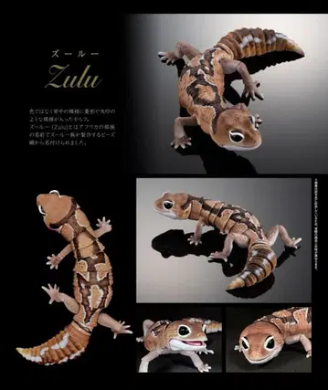 [미개봉] 생물대도감 어드밴스 니시아프리카 도마뱀붙이