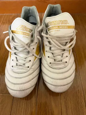 모렐리아 봄/여름 한정 컬러