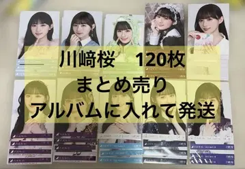 [ 가격 인하 ] 카와사키 사쿠라 묶음 판매