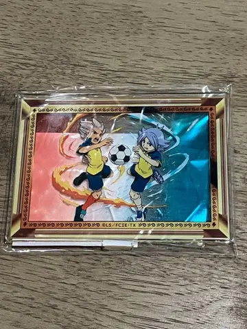 이나즈마 일레븐 후부키&고엔지 아크릴 스탠드