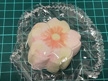 kikisquishy*벚꽃 케이크 S / 순 진흙 (클리어 봉투)