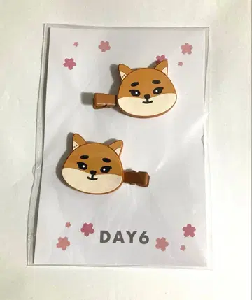 [미개봉] DAY6 영케이 헤어 클립