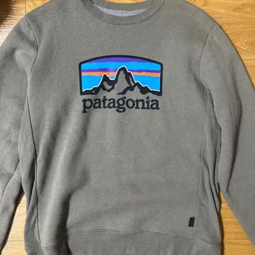 patagonia 속기모 맨투맨 M 그레이 멕시코 산입니다!