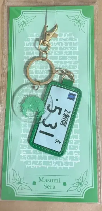 전망 파크 명탐정 코난 코난 플라자 키 참 세라 노부미츠