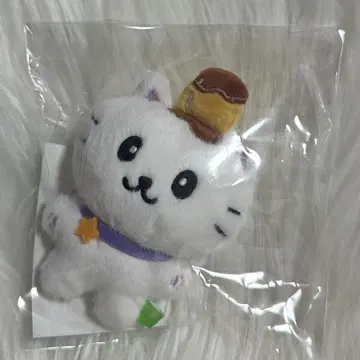 fromis_9 froming 봉제 인형 마스코트 키링 나경