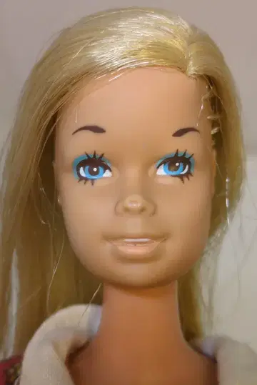 마텔 빈티지 바비 말리부 바비