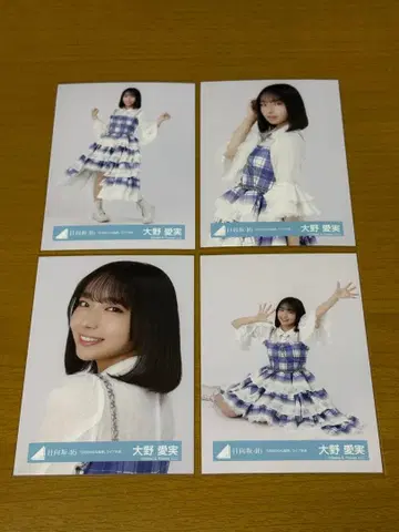 히나타자카46 오노 마나미 브로마이드 6번째 히나탄사이 [컴프]