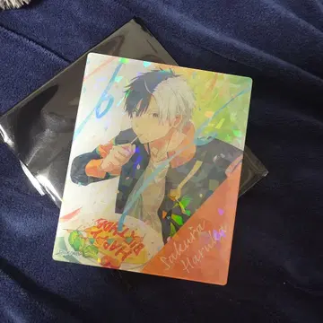 WIND BREAKER 사쿠라 하루카 홀로그램 아크릴 카드 컬렉션