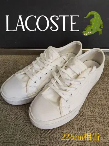 LACOSTE 화이트 스니커즈 225cm 상당