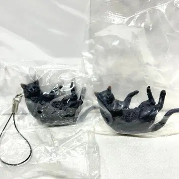 검은 고양이 2종 네이처 테크니컬러 MONO 고양이 마그넷 스트랩