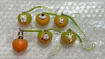 호오즈키의 냉철 카라코로 네즈케 전 6종