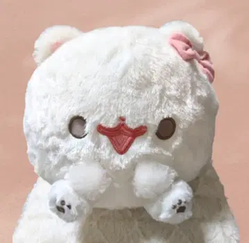 포메라니안 모찌 꾸미기 리본 봉제 인형 BIG 핑크