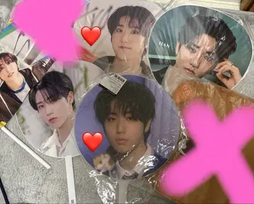 스키즈 한 부채 사진 플래그