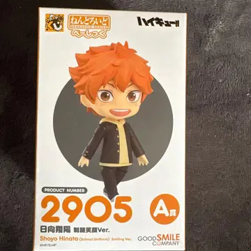 하이큐!! 구스마 복권 A상 히나타 쇼요