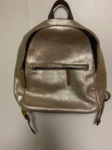 BRUNELLO CUCINELLI 메탈릭 골드 백팩 가격 인하