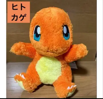 리자몽 봉제 인형