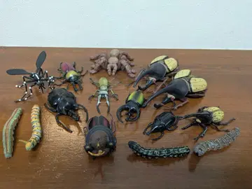 헤라클레스 장수풍뎅이 피규어 세트