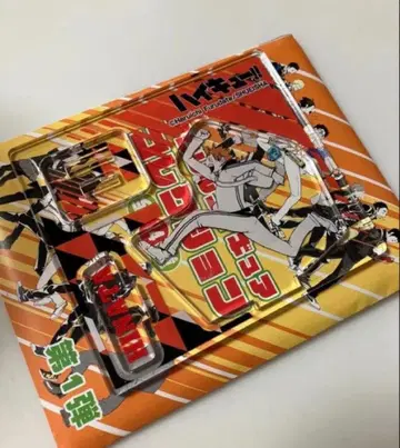 하이큐 아크릴 피규어 컬렉션 히나타 카라스노 아크피