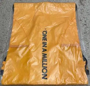 TWICE 지효 냅색 [ THIS IS FOR 2026 국립 ]