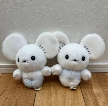 너로 정했다! 포켓몬 겟 봉제 인형 와카네즈미