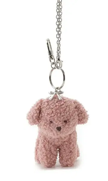 gelato pique 푸들 참