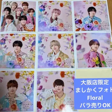 오사카점 한정판 나니와단시 정사각형 사진 Floral 8장 세트