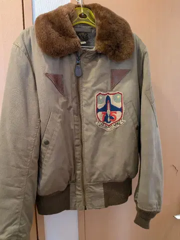 B-15A 버즈릭슨 깔끔한 레어