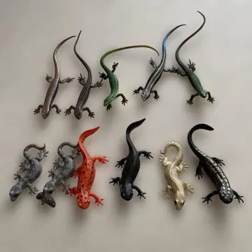 도마뱀 도마뱀 마그넷 세트