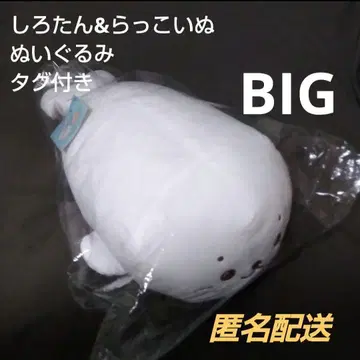 [택 포함] 시로탄 & 랏코이누 늘어놓은 봉제 인형 BIG