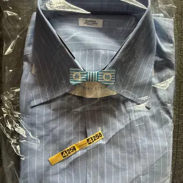 BARBA 스카이블루 스트라이프 드레스 셔츠 16