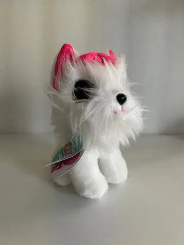 CoCo 귀여운 봉제 인형 강아지 서프라이즈 supplies