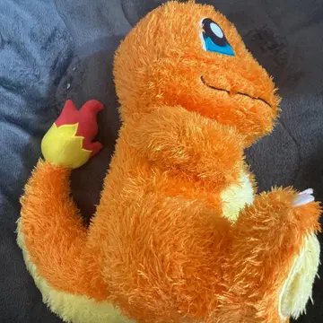 포켓몬스터 봉제 인형 꼬부기