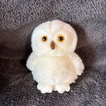 레어! WARABE 시로후쿠로 화이트 올빼미 봉제 인형