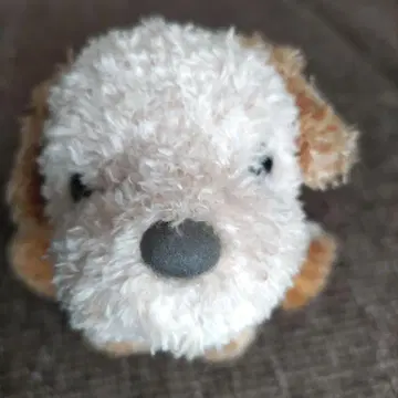 브라운과 화이트의 강아지형 봉제 인형