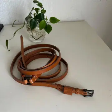 FOXEY 폭시 이중 벨트