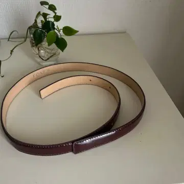 FOXEY 폭시 심플 벨트