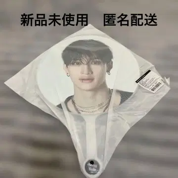 straykids 서울 콘서트 dominATE Seoul 방찬 부채